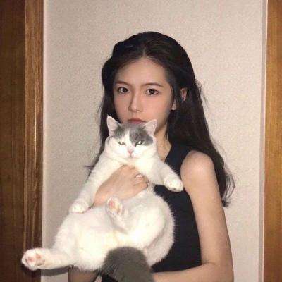 龙权天下最新版下载